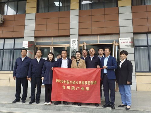 國家科技特派團(tuán)食用菌體系專家在大坪鎮(zhèn)開展科技服務(wù)