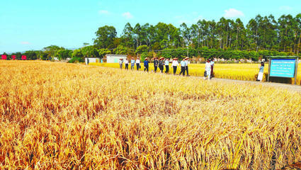 聚力加強農業科技服務體系建設