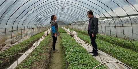 開展包村聯(lián)戶 助力農(nóng)民增收--績(jī)溪縣開展春季農(nóng)業(yè)科技服務(wù)活動(dòng)