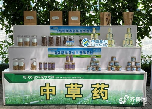 央視點(diǎn)贊新泰智慧光伏農(nóng)業(yè) 山東移動(dòng)助力激活鄉(xiāng)村振興新動(dòng)能