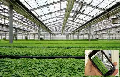 關于智慧農業,農業部準備這么干!(有補貼哦~)