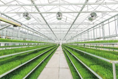 江蘇:&ldquo;雙新雙創(chuàng)&rdquo;為鄉(xiāng)村振興凝聚強勁動能