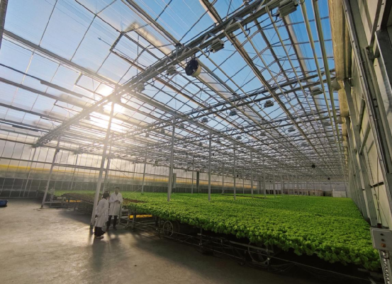 科技小院迎來首場賽事,力促農研技術落地服務鄉(xiāng)村振興落地服務鄉(xiāng)村振興