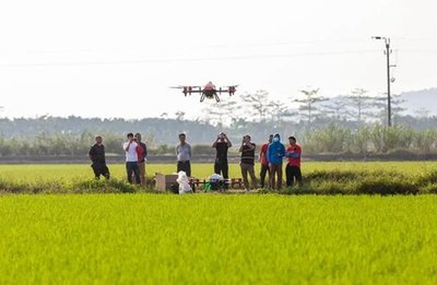 農業的未來在哪里?
