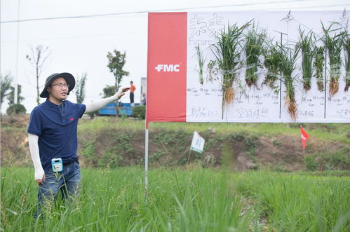 創(chuàng)新富美實(shí),震撼星博會(huì)