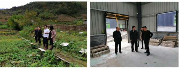 農(nóng)生學院組織&ldquo;專家團隊&rdquo;深入企業(yè)開展科技服務