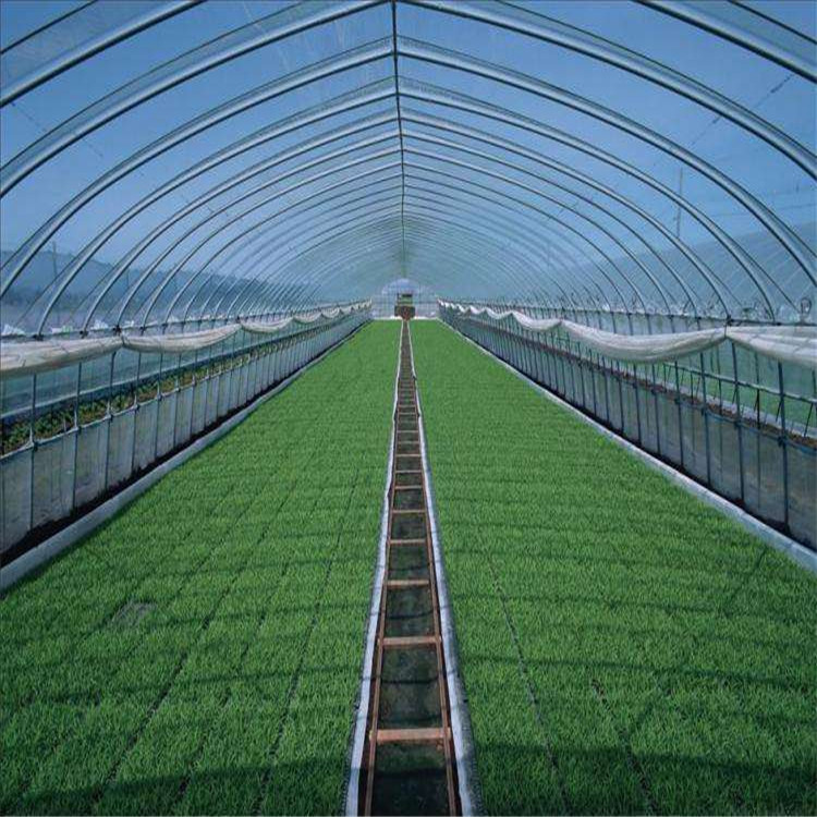 產(chǎn)品報價 連棟薄膜溫室 薄膜溫室大棚 服務熱線 - 壽光市方立農(nóng)業(yè)科技
