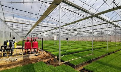 桐城:建設&ldquo;數字鄉村&rdquo; 科技強農促振興