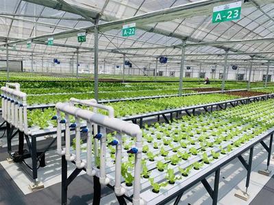 補(bǔ)貼上百萬(wàn)!數(shù)字農(nóng)業(yè)工廠:智能化、自動(dòng)化的農(nóng)業(yè)生產(chǎn)新模式