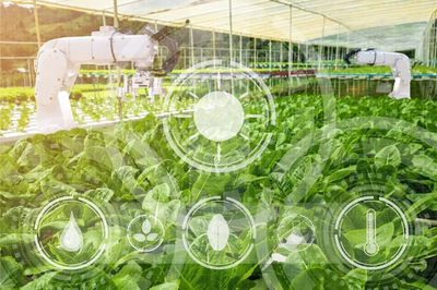 農(nóng)業(yè)科技社會(huì)化服務(wù)體系建設(shè)如何加強(qiáng)?七部門(mén)發(fā)文部署