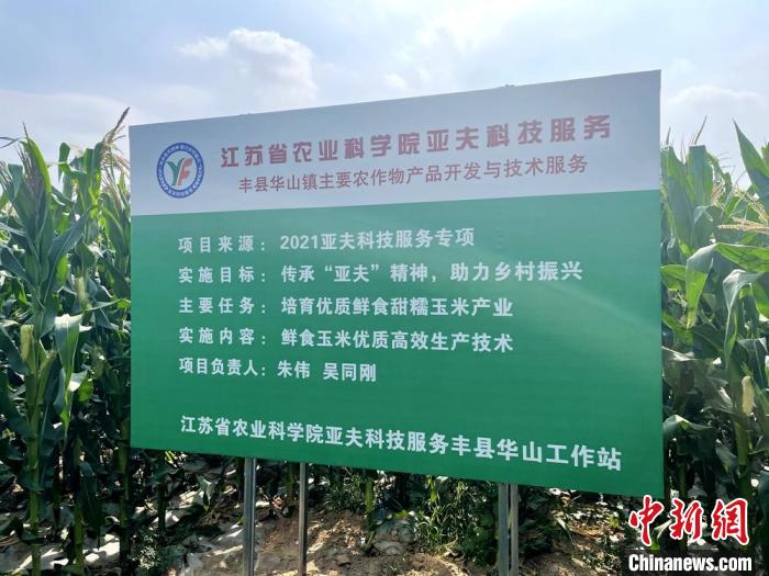 今年在大沙河畔示范種植的40畝鮮食玉米地豎起服務(wù)牌. 朱偉 攝