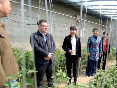 蚌埠市&ldquo;巾幗科技助農(nóng)直通車(chē)&rdquo;開(kāi)進(jìn)五河縣朱頂鎮(zhèn)