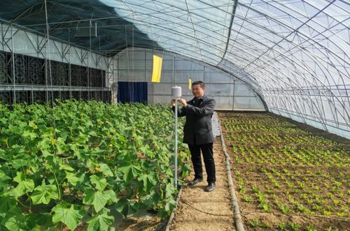 一年之計在于春，農氣聯手促增收：農業科技服務的創新與展望