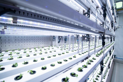 拼多多Q3財報發布 陳磊強調重倉“新質供給”與“電商西進”生態建設，深化農業科技服務