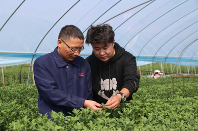 人保財險徐州分公司 以服務三農為本，助推農業保險高質量發展