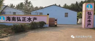 北方一代苗需求激增 行業(yè)亂象中的農(nóng)業(yè)科技服務新機遇