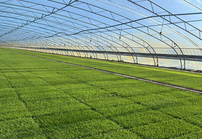 稼穡篤行 北大荒集團黑龍江八五四農(nóng)場現(xiàn)代農(nóng)業(yè)科技服務中心實習感悟