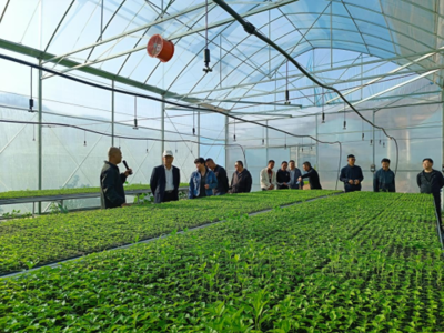 東川區(qū)現(xiàn)代農(nóng)業(yè)產(chǎn)業(yè)園建成投入運行，賦能農(nóng)業(yè)科技服務新篇章