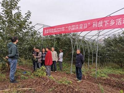 科技賦能鄉(xiāng)村振興——市科技局組織開展科技特派員下鄉(xiāng)服務(wù)活動