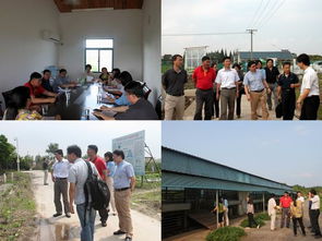 我院科研處與上海市農業科技服務中心開展黨建雙結對活動，共促農業科技服務發展