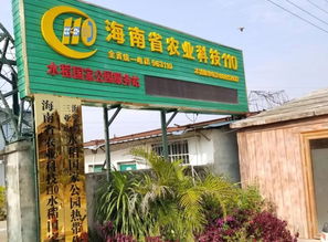 精準考核促提升，科技服務助農興——三亞科工局組織專家對海南省農業科技110服務站進行實地考核