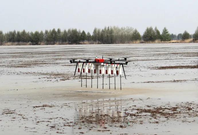 《“十三五”農業農村發展成就斐然，農業機械化與科技服務引領現代農業新篇章》