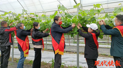 鹽城勞模愛心團隊 科技助農，護航春耕防疫“兩不誤”